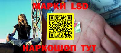твердый Владимир
