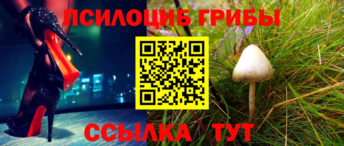 Псилоцибиновые грибы Magic Shrooms Зима