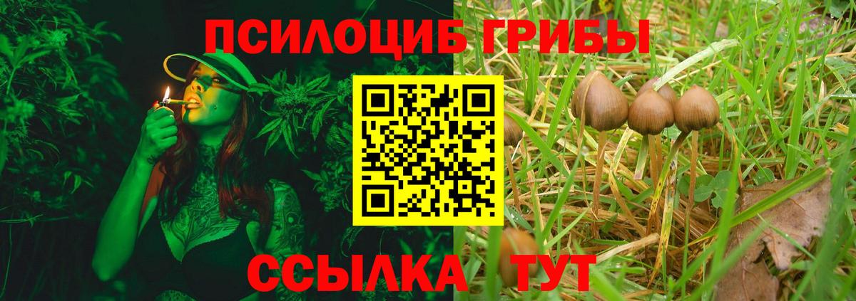 Псилоцибиновые грибы Cubensis  Вход с VPN  Галлюциногенные грибы GOLDEN TEACHER  даркнет сайт  Зима 